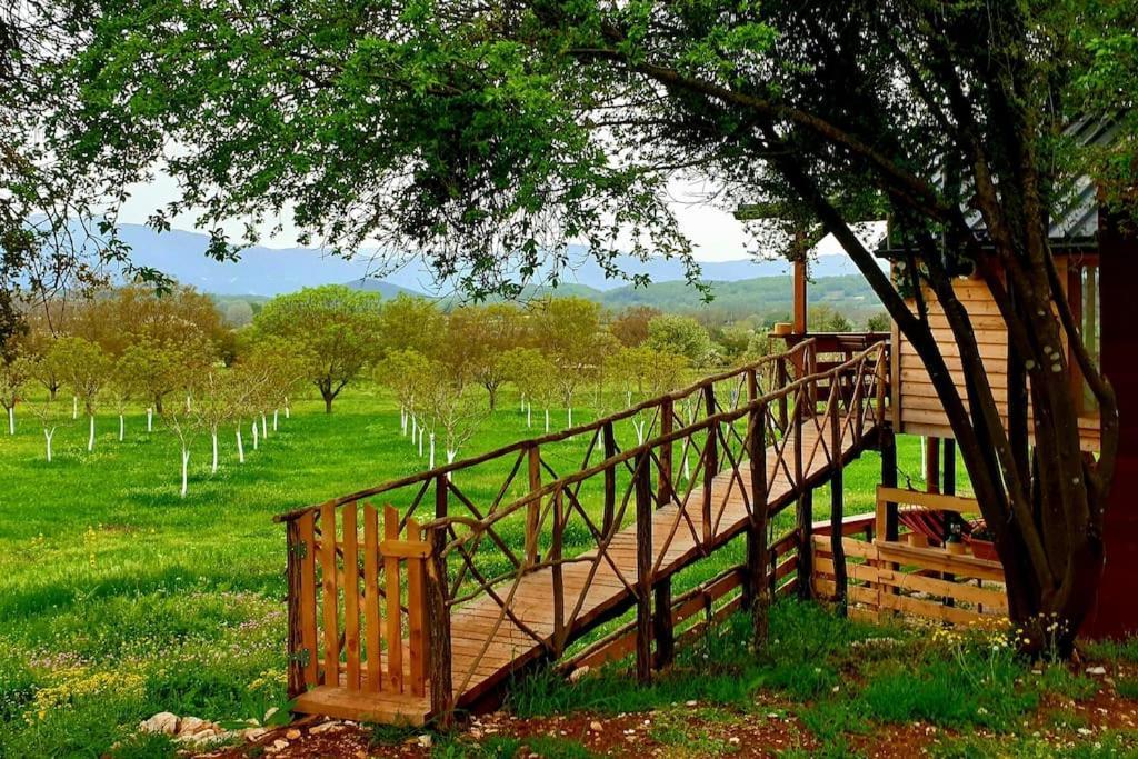 The Treevilla อิโออันนินา ภายนอก รูปภาพ